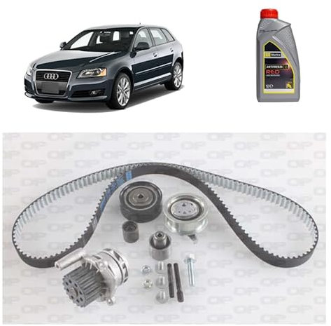 Kit distribuzione + p acqua + antigelo per Audi A3 8P 1.6 2.0 TDI gasolio 2003-2010