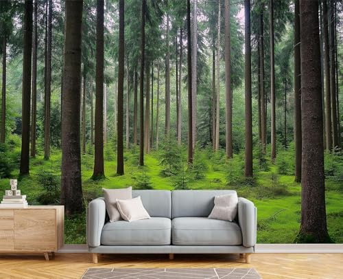 3D Individuelle Fototapete Naturlandschaft,Urwald,Wandtapete,Wandhintergrund für Wohnzimmer,Schlafzimmer,Küche Fototapete Wandkunst Tapete,150x105cm