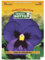 Sicignano | Semi Viola del Pensiero Blu - Pianta Nana Fioritura Prolungata 5-7 cm, Busta Extra - 6 Confezioni da 0.15g, Raccolta Primaverile