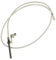 Sonde de température d'origine Four, cuisinière 697870152 SMEG