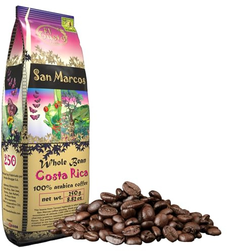 El Gusto San Marcos – 250g Caffè in Grani di Specialità – SCA 85 & ITI 3 Stelle – 100% Arabica Costa Rica Tarrazú – Tostatura Artigianale Naturale – Note di Cioccolato e Agrumi