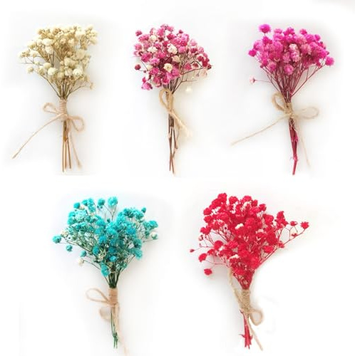Getrocknete Blumen Natürliche Trockenblumen zum Basteln Schleierkraut Getrocknet Blumen DIY Gepresste Blumen Mini Trockenblumen Kleiner Blumenstrauß Trockenblumen Blumendeko für Kerzen Harz Deko
