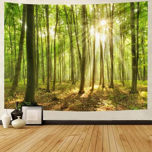 BCughia Wandteppich Wald Natur, Wandbehang Baum Sonnenschein Grün Landschaft Home Decor Wandteppiche Wandkunst für Zimmer 350x256cm