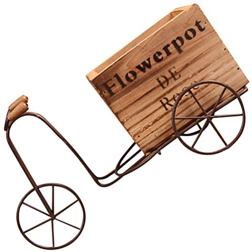 Alipis Iron Tricycle Plant Stand Rustic Indoor Flower Pot Display Rack Plant Stand for Home Decor
