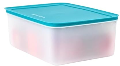Tupperware Tupperware Freezer Mates Plus Contenant extra large 5,7 l 24 tasses Sceau bleu
