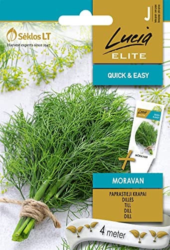 Lucia Elite | ANETO MORAVAN Semi | Semi di ortaggi | Semi di aneto | Semi di piante | Semi da giardino | 1 pacchetto