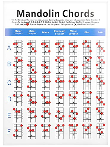 Mandolin Chord Practice Chart, Fretboard Notes Coated Paper for Beginner Guiding