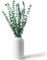 12 Pcs Eucalipto Secado Natural 45cm Flores Secas Decoracion Flores Preservadas Naturales Ideal para Jarrones Arreglos Florales Decoracion de Bodas y Hogar