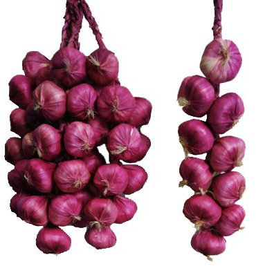 Calcifer Artificial Frutas Verduras Cadena para Restaurante Hotel casa jardín decoración Pantalla