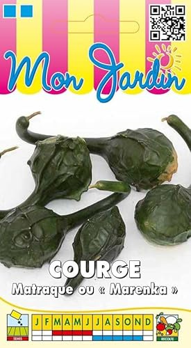 Sachet de graines de Courge Matraque Marenka - 3 g - légume décoratif - LES GRAINES BOCQUET