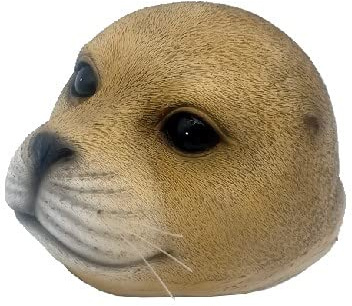 osters muschel-sammler-shop Seehund Kopf schwimmend 15cm Durchmesser für Gartenteich, Fluss, Vase, Geschenk (beige)