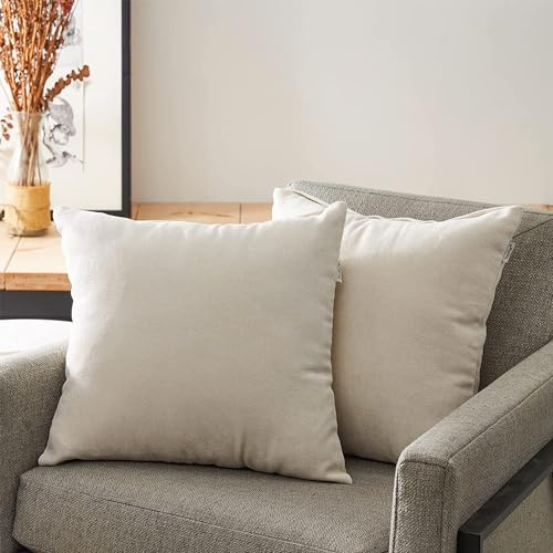 Interior by Hakito 2er Set Kissen mit Füllung (40x40cm Creme) Modell Nino Chenille Stoff, als Sofakissen, Couchkissen Dekokissen Zierkissen, Premium Füllkissen inklusive, weich & angenehm, Doppelpack