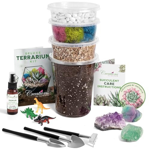 Creations by Nathalie – Large DIY Succulent, Cactus, or Air Plant Terrarium Kit with Soil, Moss, Pebbles, Terrarium Tools, Amethyst Gem, Crystal Chips - Handmade in USA