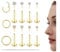 CASSIECA 12stk 18G Tragus Piercing Labret Lippen Piercing Chirurgenstahl Tragus Ohrringe Set Gold mit Zirkonia Stern Flat Piercing Ohr Knorpel Medusa Conch Piercings