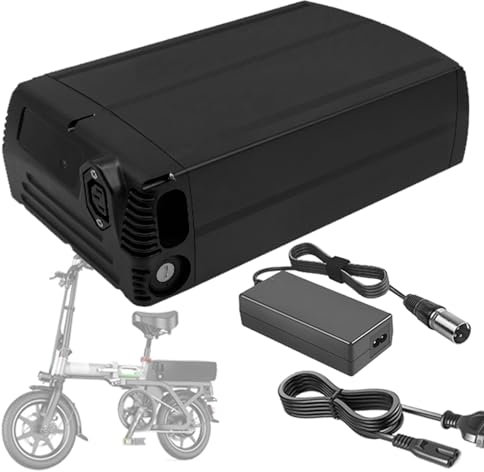 SDAJS Batterie au Lithium 48 V Batterie Li-ION 48 V Batterie pour Porte-Bagages arrière Batterie Rechargeable 48 V 32 Ah 35 Ah 40 Ah 50 Ah 60 Ah avec Chargeur pour Moteur 50 W à 3 000 W