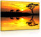 lightbox multicolor | LED Leuchtbilder | Elefanten in afrikanischer Steppe | 100x70 cm | Fully Lighted