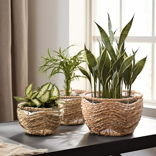 La Jolíe Muse Lot de 3 paniers à Plantes en jonc de mer - avec Support en Fer - 28 cm + 22 cm + 17 cm - Naturel