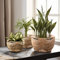 La Jolíe Muse Lot de 3 paniers à Plantes en jonc de mer - avec Support en Fer - 28 cm + 22 cm + 17 cm - Naturel