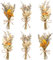 LAUMOE 6 Bündel Trockenblumenstrauß, Trockenblume, Getrocknete Blumen, Trockenblumen Zum Basteln Trockenblumen klein für Bilderrahmen DIY Heim-Party Und Hochzeitsdekoration (Stil 1)