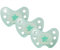 dentistar Night Silikon Schnuller 3er-Set - Größe 3, ab 14 Monate - Glow in the Dark Nuckel mit Dentalstufe – BPA-frei – Made in Germany - Stern, Türkis