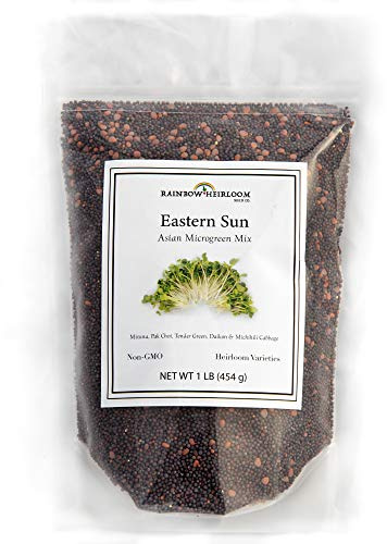 Eastern Sun Asian Microgreen Seeds Mix | Contains Mizuna, Pak Choi, Cabbage, Mustard & Radish Sprout Seeds | Non GMO Heirloom Seeds | Bulk 1 LB Resealable Bag | Rainbow Heirloom Seed Co.