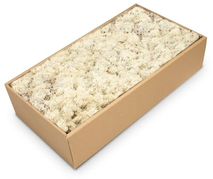 NaDeco Islandmoos in Natur und 30 weiteren Farben zur Auswahl | Deko-Moos | Rentier-Moos | Reendier Moos | Bastel-Moos | Dekomoos | Moos-Deko, Farbe:Misty White