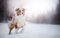 LHJOYSP Puzzle 1000 Teile Erwachsene Hund Australian Shepherd 75x50cm