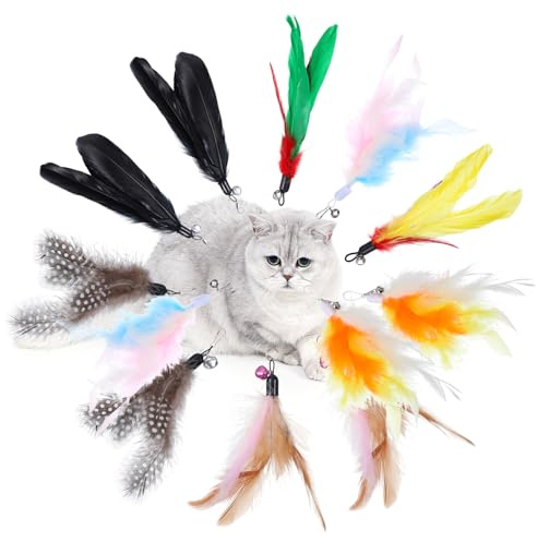 Kifmurase 12 Stück Katzenspielzeug Feder, Feder-Katzenstab-Spielzeugaufsatz mit Glöckchen, interaktiver Teaser-Federn-Ersatz für gelangweilte Hauskatzen, Kätzchen-Übungsspiel