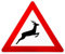 ORIGINAL Verkehrsschild Nr. 145-20 * Wildwechsel Aufstellung links * Verkehrszeichen Achtung Warnschild Strassenschild Hinweisschild Gefahrenzeichen Schild Gefahrenschild Reh Hirsch Schilder