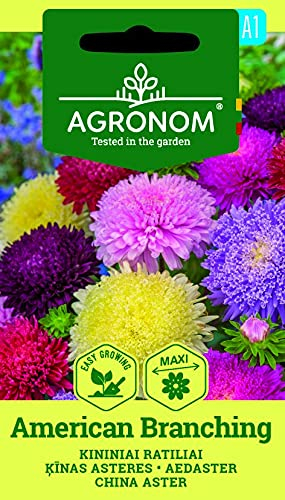 AGRONOM | ASTER DE CHINA AMERICAN BRANCHING semillas | Semillas de flores | Semillas de plantas | 1 paquete