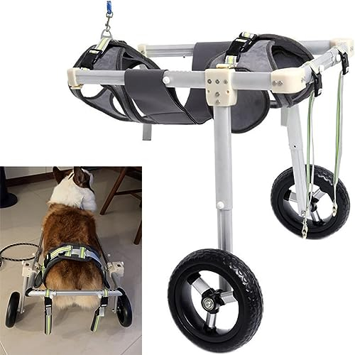 NUACOS Verstellbarer 2 Räder Hunderollstuhl, Hunderollstuhl Hinterbeine, Tragbar Pet Rollwagen für Haustier Cat Hunde Verletzt Hinterbeine Rehabilitation von 5~60 kg,L