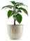 HowHomely Beige Blumentopf aus Kunststoff Hoch 14 cm mit einem Durchmesser von 17 cm - Übertopf Mit Lächeln-Gesicht für Deko Wohnzimmer