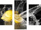 decorwelt | Dreiteiliges Wandbild 3 Teilig Acrylglasbilder Acryl Glasbild Obst Gelb 90x70 cm Wandbilder Wohnzimmer Esszimmer Deko Wanddeko