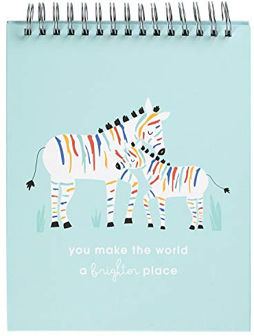 C.R. Gibson „You Make The World a Brighter Place“ Regenbogen-Zebra-Baby-Meilensteinkarten, Foto-Requisite, Flipbook, 21,6 x 26,7 cm