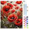 QENSPE Pintura por números para adultos, kit de pintura al óleo pintada a mano para principiantes y adultos con 3 pinceles y pintura acrílica, sin marco, pintura por números, 40 x 50 cm (flor roja)
