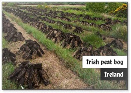 Stacks of Turf Drying in Irish Peat Bog, Fridge Magnet