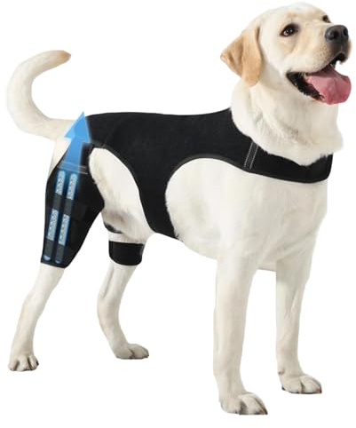 Mozeuu Hunde Hüftbandage,Einstellbare Gelenkmanschette,Hunde Hinterbein Orthese mit 4 Metall Stabilisatoren | Für Spaziergänge Wandern Aktivitäten Im Freien Park Reisen Zuhause