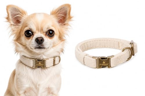 Halsband Hund - Janka Hundehalsband aus Nylon - Verstellbar - Robuster Klickverschluss - Beige - XS 20–35 cm x 10 mm - Flamingo