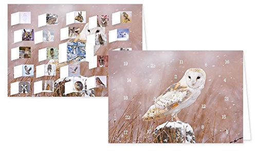 RASW057 -Eulen im Winter Adventskalender-Doppelkarte - 12,5 x 18,5 cm mit hochwertigem Kuvert