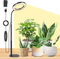 Luci per piante da interno, Lampada a LED per la crescita delle piante da scrivania, luce di crescita a spettro completo, altezza regolabile, timer auto3/9/12H,ideale per la crescita di piccole piante