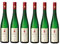 6x 0,75l - 2023er - Schloss Proschwitz - Prinz zur Lippe - Goldriesling - VDP.Gutswein - Qualitätswein Sachsen - Deutschland - Weißwein trocken
