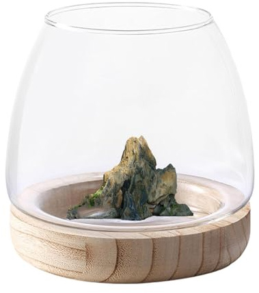 Opilroyn Vase transparent avec base en bois – vase hydroponique, pot pour aquarium en verre transparent avec support en bois, terrasse avec vase à bouche large, jardinière en verre, décoration pour la