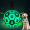 HETOO Dog Toy, Dog Ball with Nylon Rope, Premium Dog Football Toy for Medium Large Dogs, Indoor and Outdoor Entertainment (6 Inch Glow in Dark)