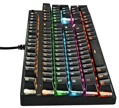 Housoutil Clavier Mécanique Rétroéclairé Touches Clavier USB Ordinateur de Bureau Électronique