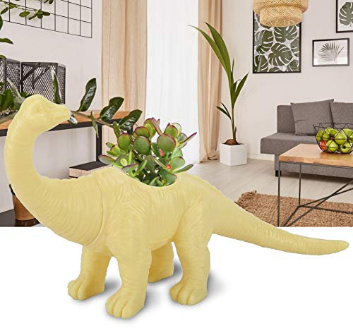Acouto Pot De Fleur Animal Dinosaure Cactus Succulent Pl Pot Décoration De Jardin avec Cette Fleur De Dinosaure F et ludique. Pot De Fleur Pot Pl Pot De Fleur Dinosaure Pot De Fleur
