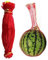 Supatmul 100 Pezzi Reti di Anguria Amaca Melone,40cm Sacchis a Rete per Anguria, Reti di Melone di melata con Coulisse, Rete per meloni da Giardino, Reti di Sostegno della Frutta per cantalupo