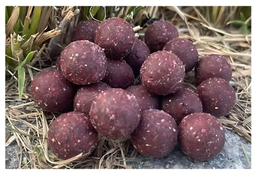 MK-Angelsport Creamy Scopex Garlic Robin Red Boilies 16mm 5kg Power Instant Boilie - Karpfenköder Futterboilies Angelköder Power Instant Boilie