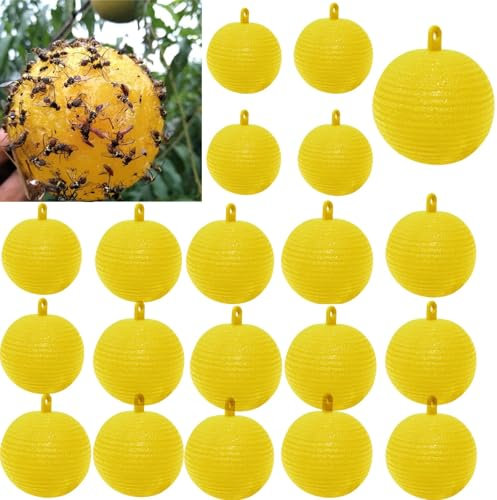 20 pezzi cattura moscerino interno, palla trappola a mosche sospese, trappole per insetti, trappole per insetti, trappola per mosche, cattura mosche per frutta, cattura parassiti all'aperto, cattura