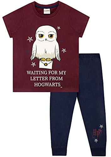 Harry Potter Girls Hedwig Pyjamas Blue Age 10 to 11 Years