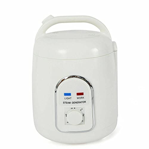Dampferzeuger, 1.5L Mini Dampfsauna Dampfmaschine 220V Tragbar Sauna Dampfgarer Home Spa Zubehör für Dampfsaunen
